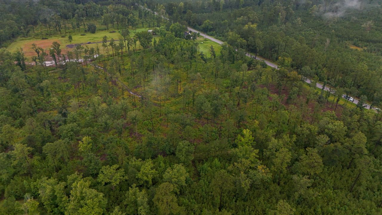 1035 Highway 61 Photo 5