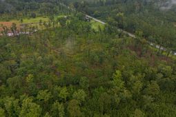 1035 Highway 61 photo 4