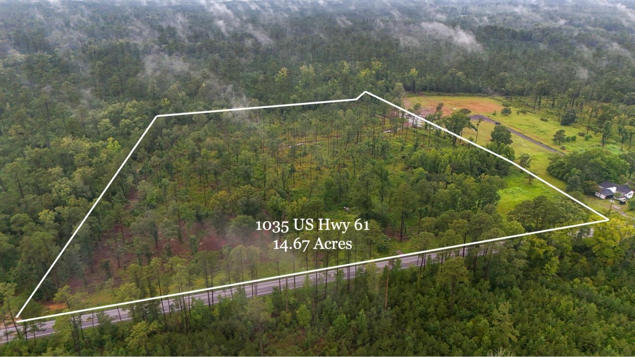 1035 Highway 61 Photo 9