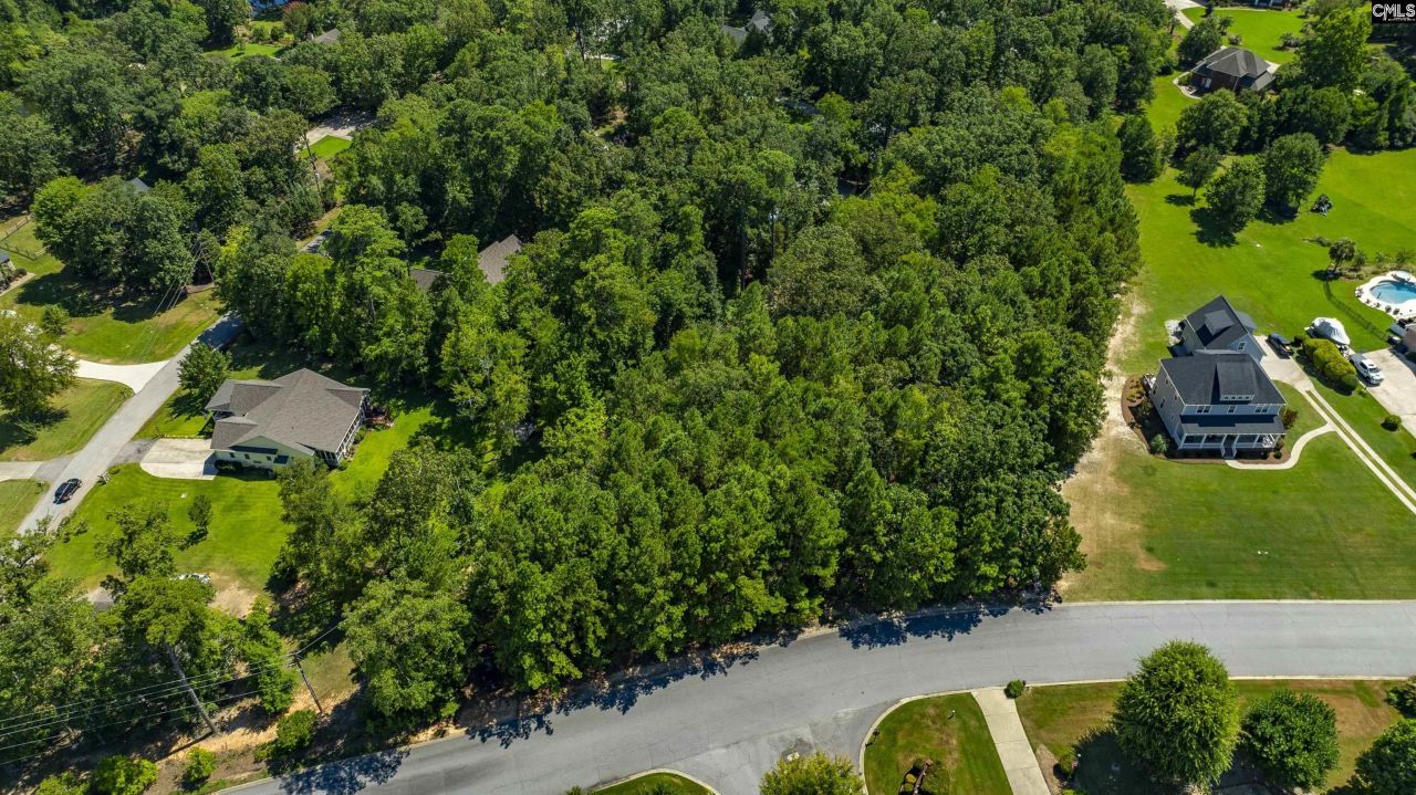 409 Caro Lane  Photo 5