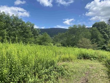 Lot 133 Sunset Mountain Village Drive, Slaty Fork, WV 26291