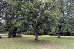 223 Gardners Farm Road photo 4