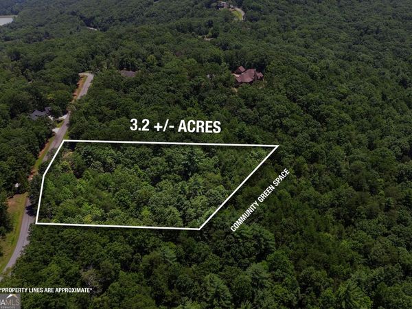 0 Laceola South Road, Unit LOT 120, Cleveland, GA 30528