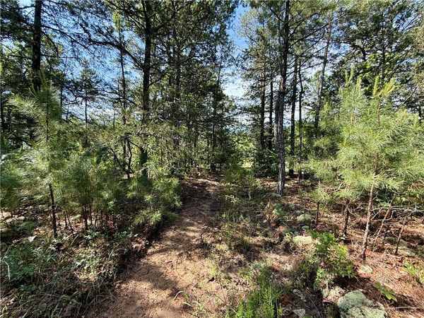 001-01049-000 CR 128, Calico Rock, AR 72519