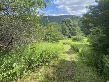 Lot 135 Sunset Mountain Village Drive, Slaty Fork, WV 26291