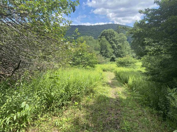 Lot 135 Sunset Mountain Village Drive, Slaty Fork, WV 26291