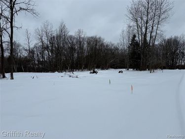 4433 Brighton Parcel B Road, Genoa Twp, MI 48843