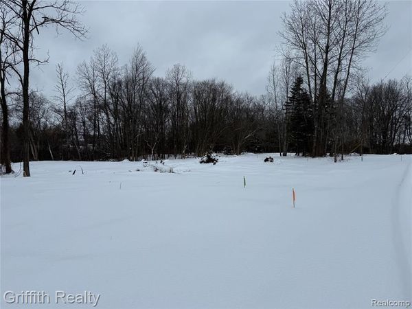 4433 Brighton Parcel B Road, Genoa Twp, MI 48843