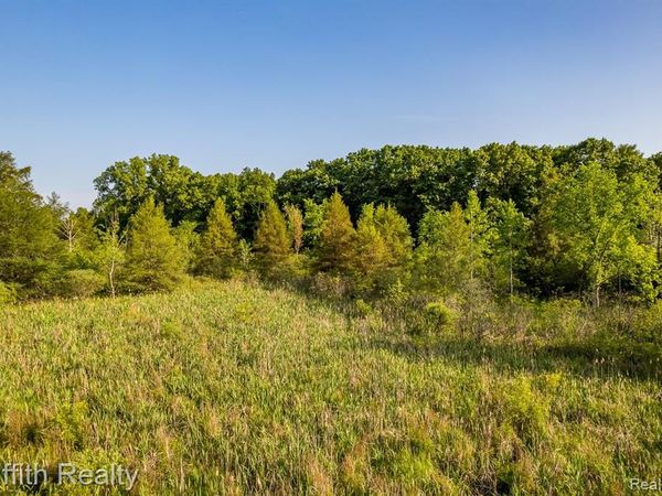4433 Brighton Parcel B Road, Genoa Twp, MI 48843