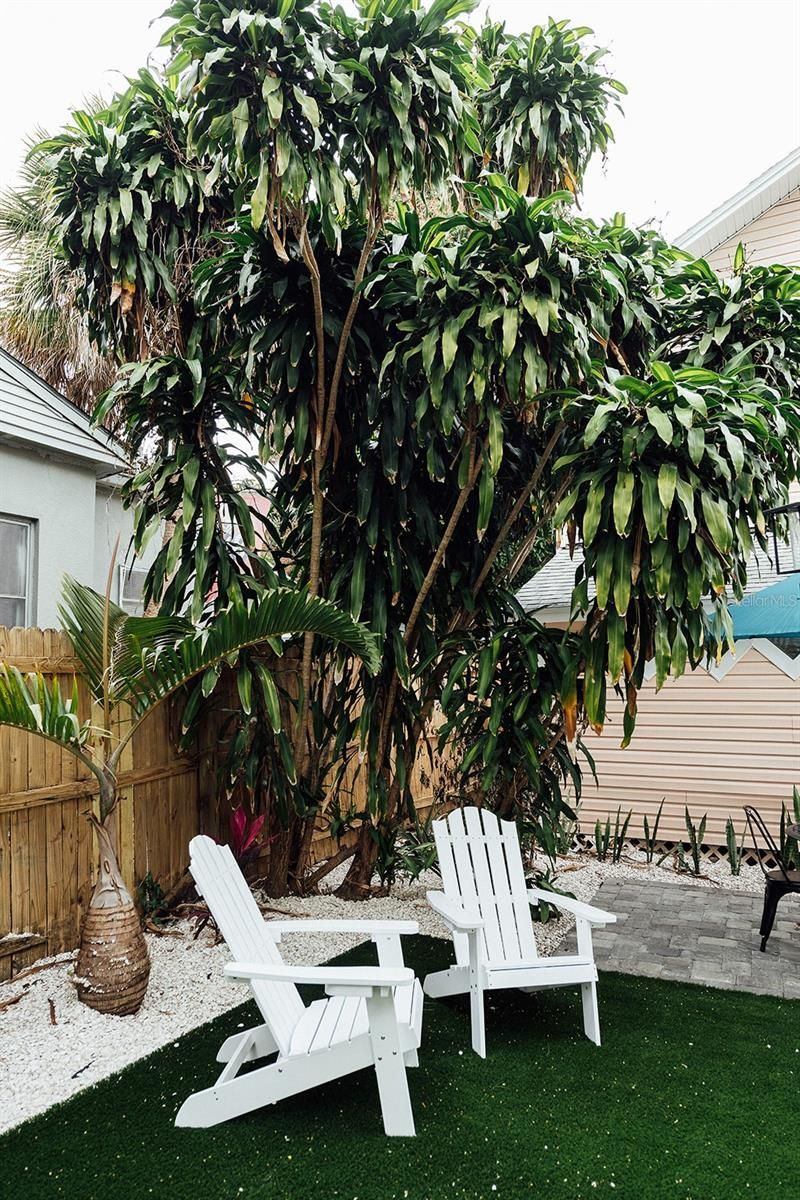 809 10th Avenue N, Unit 7, Saint Petersburg, FL 33701 Photo
