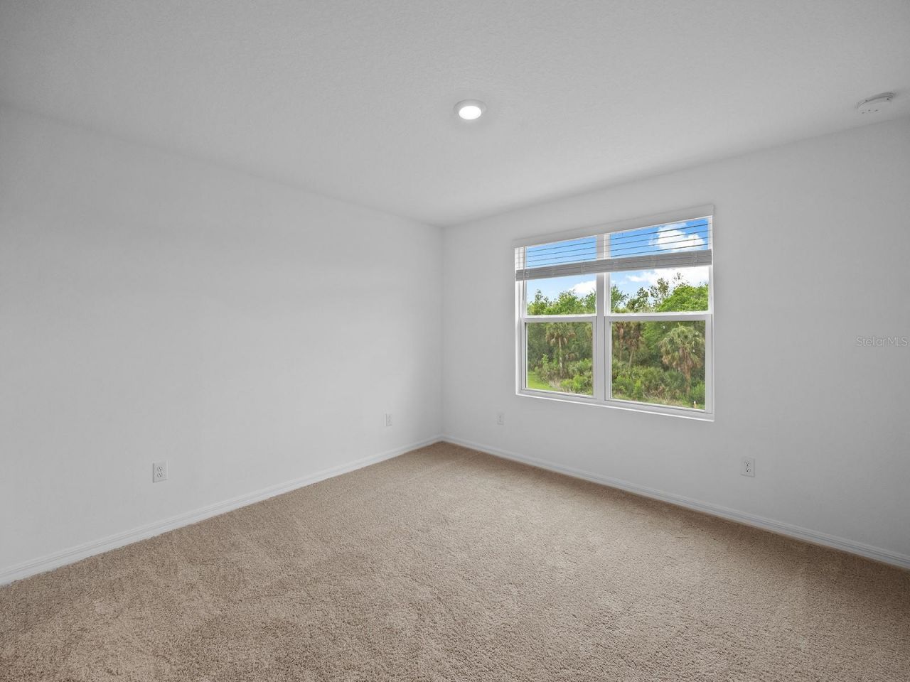 8581 Lunar Skye Street, Sarasota, FL 34241 Photo