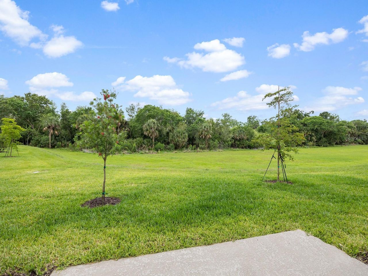 8581 Lunar Skye Street, Sarasota, FL 34241 Photo