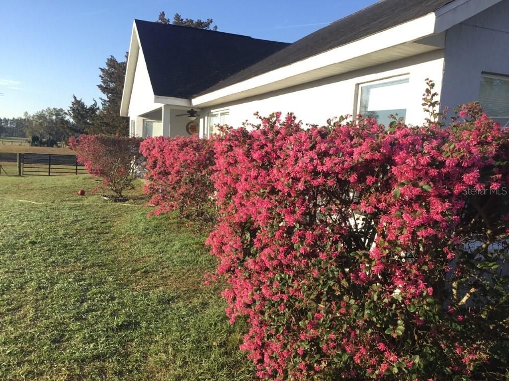 11951 SE 130th Court, Dunnellon, FL 34431 Photo