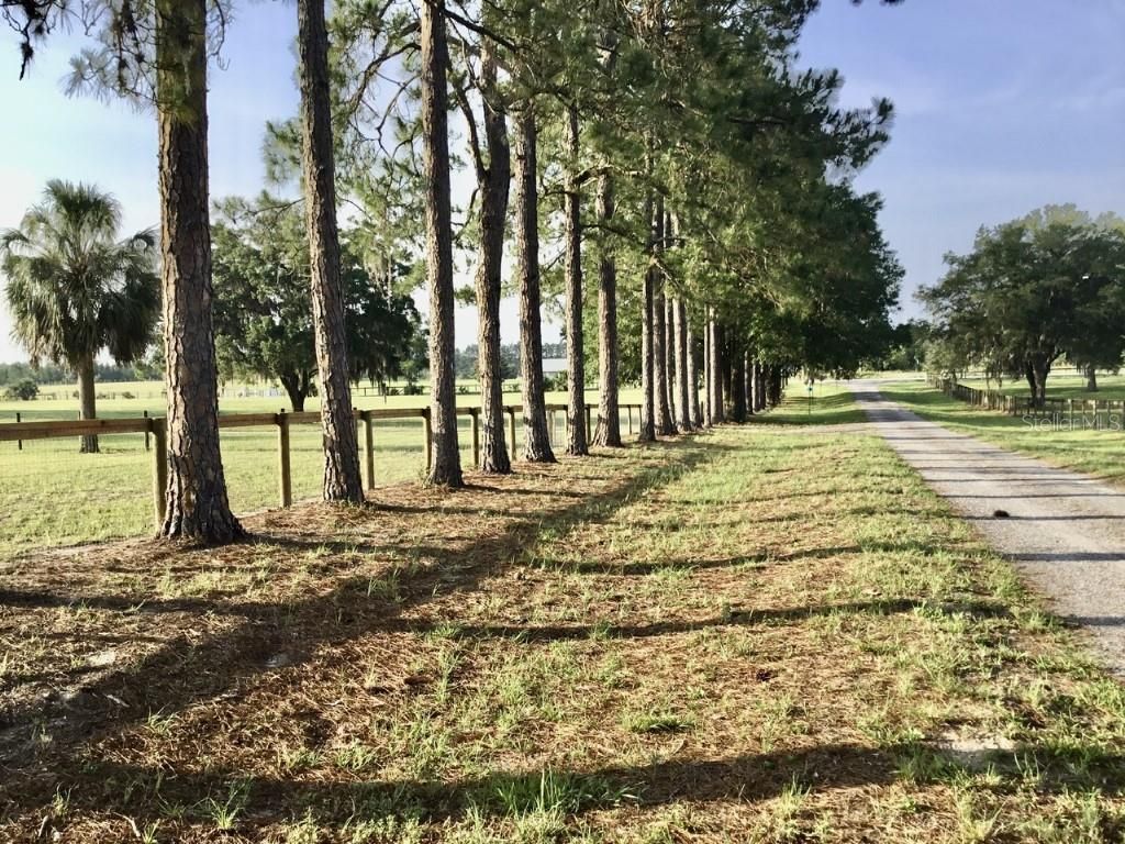 11951 SE 130th Court, Dunnellon, FL 34431 Photo