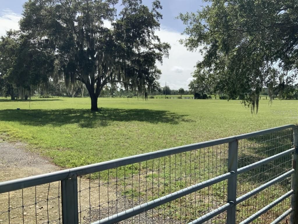 11951 SE 130th Court, Dunnellon, FL 34431 Photo