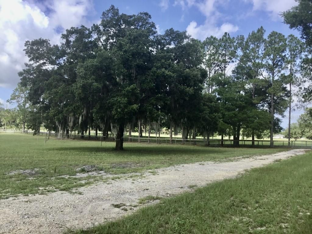 11951 SE 130th Court, Dunnellon, FL 34431 Photo