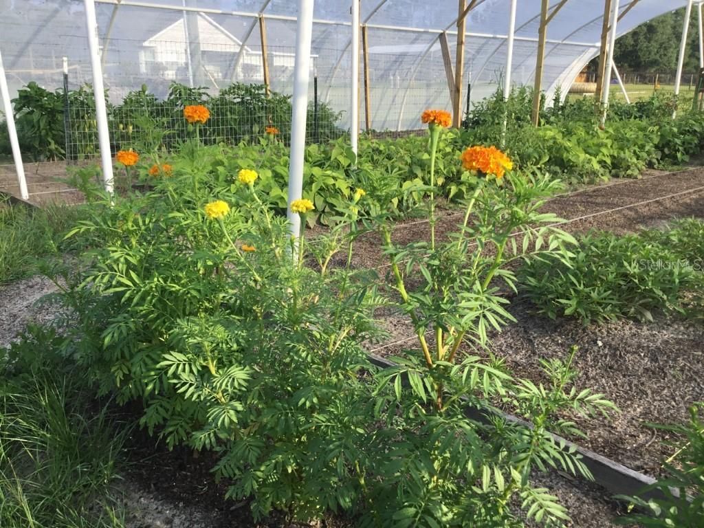 11951 SE 130th Court, Dunnellon, FL 34431 Photo