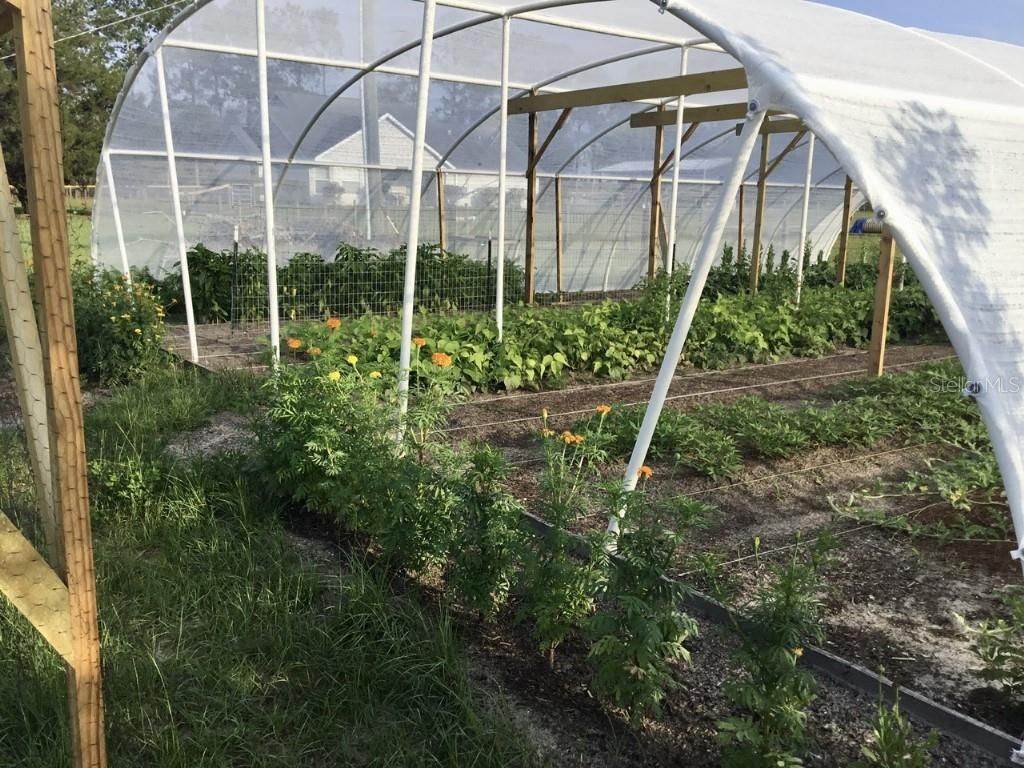 11951 SE 130th Court, Dunnellon, FL 34431 Photo