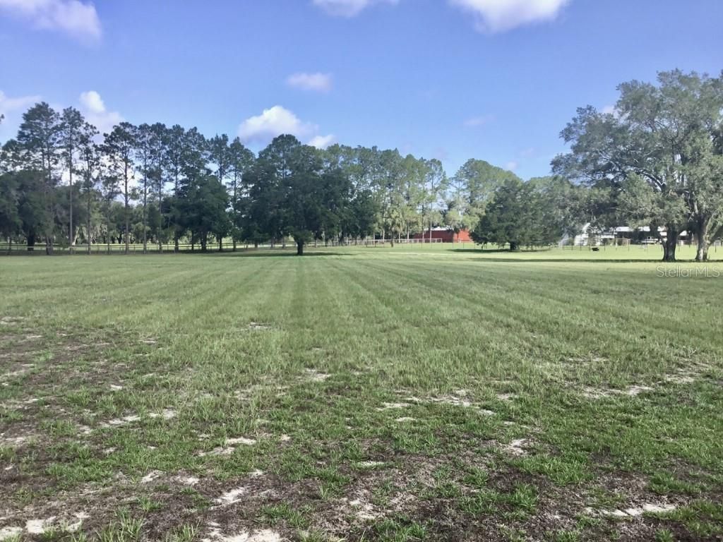 11951 SE 130th Court, Dunnellon, FL 34431 Photo