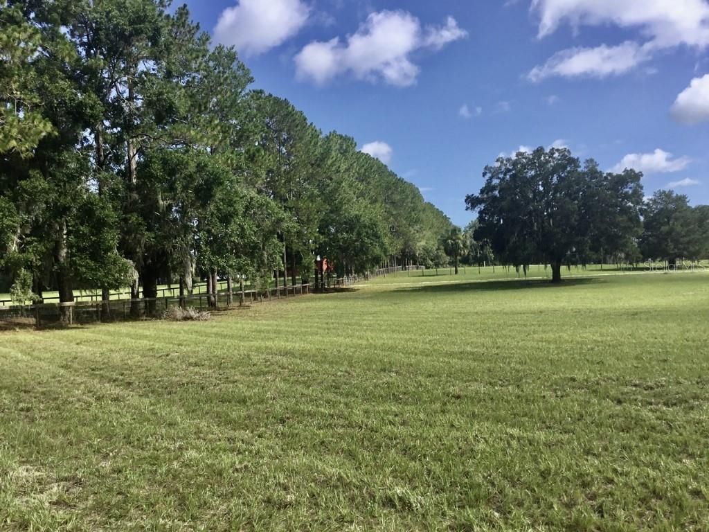 11951 SE 130th Court, Dunnellon, FL 34431 Photo