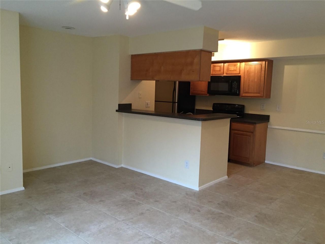 9100 Dr Martin Luther King Jr Street N, Unit 1703, Saint Petersburg, FL 33702 Photo