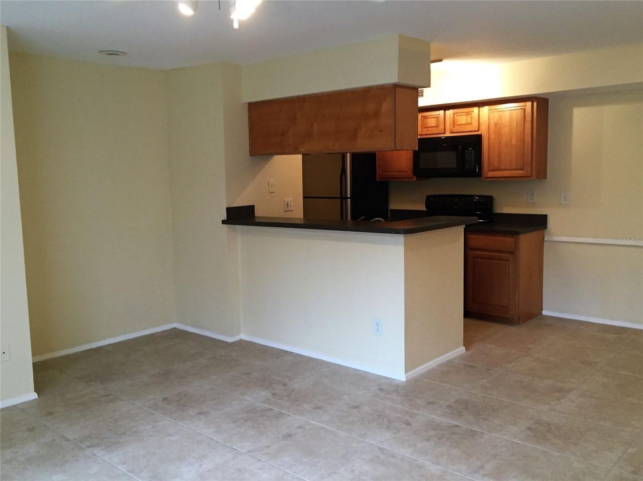 9100 Dr Martin Luther King Jr Street N, Unit 1703, Saint Petersburg, FL 33702 Photo