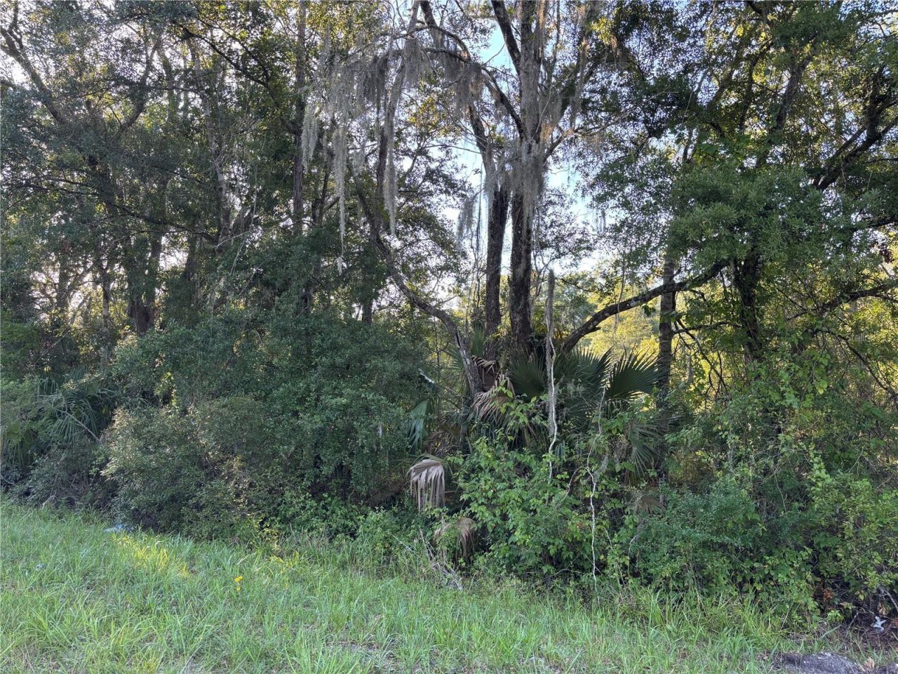 Ne Highway 351, Cross City, FL 32628 Photo