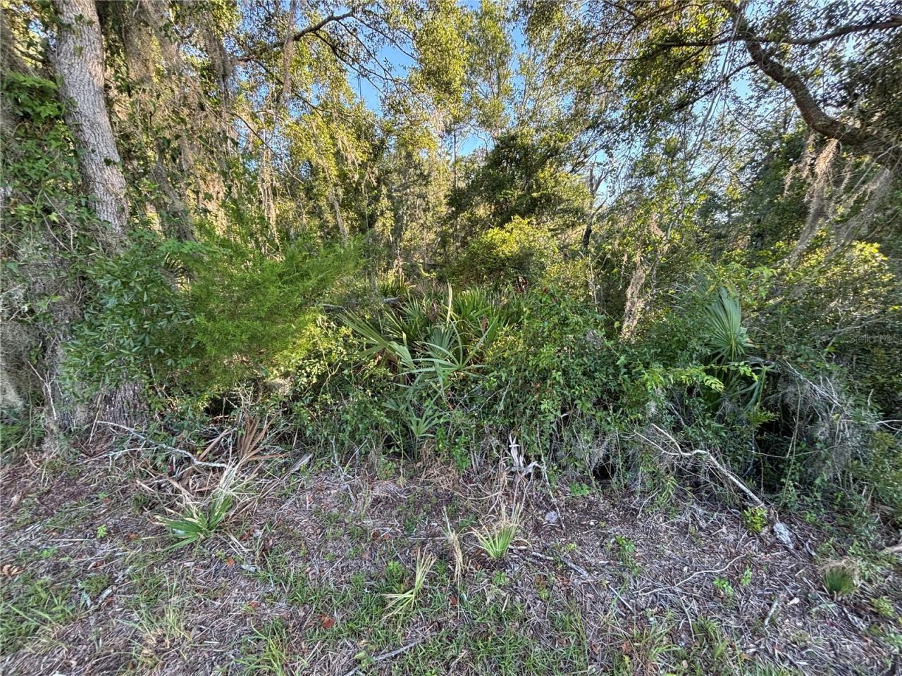 Ne Highway 351, Cross City, FL 32628 Photo