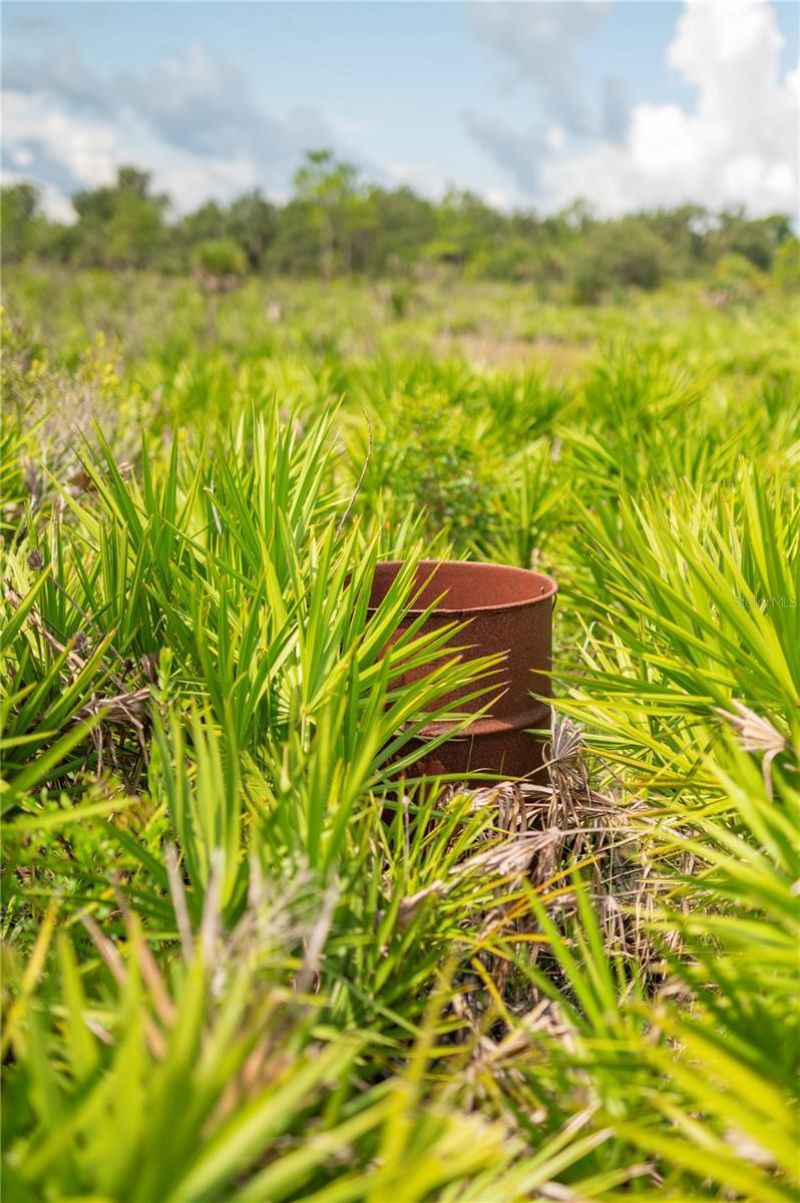 Sw Addison Avenue, Lot #A, Arcadia, FL 34266 Photo