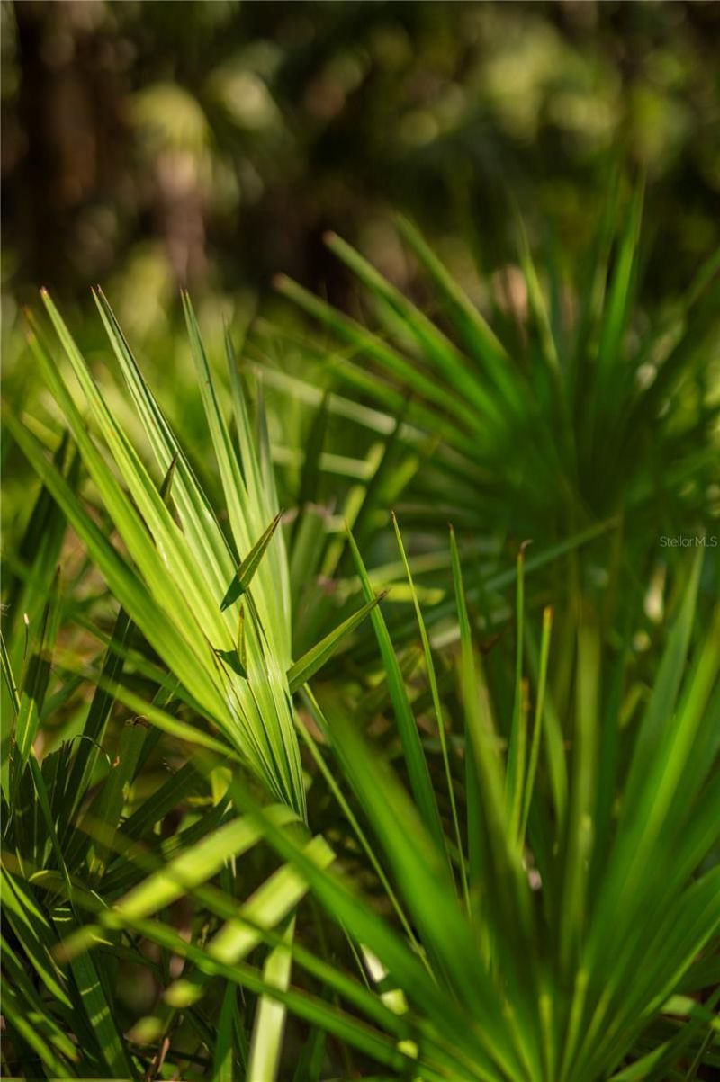 Sw Addison Avenue, Lot #A, Arcadia, FL 34266 Photo