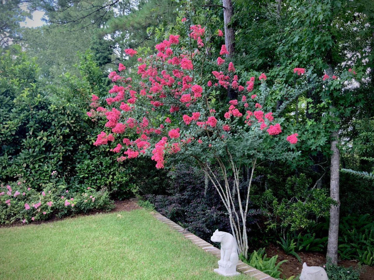 4278 Home Town Lane Photo 44