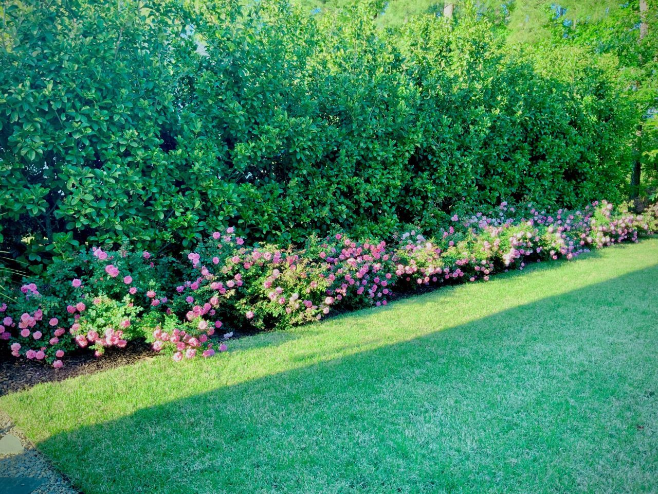 4278 Home Town Lane Photo 45