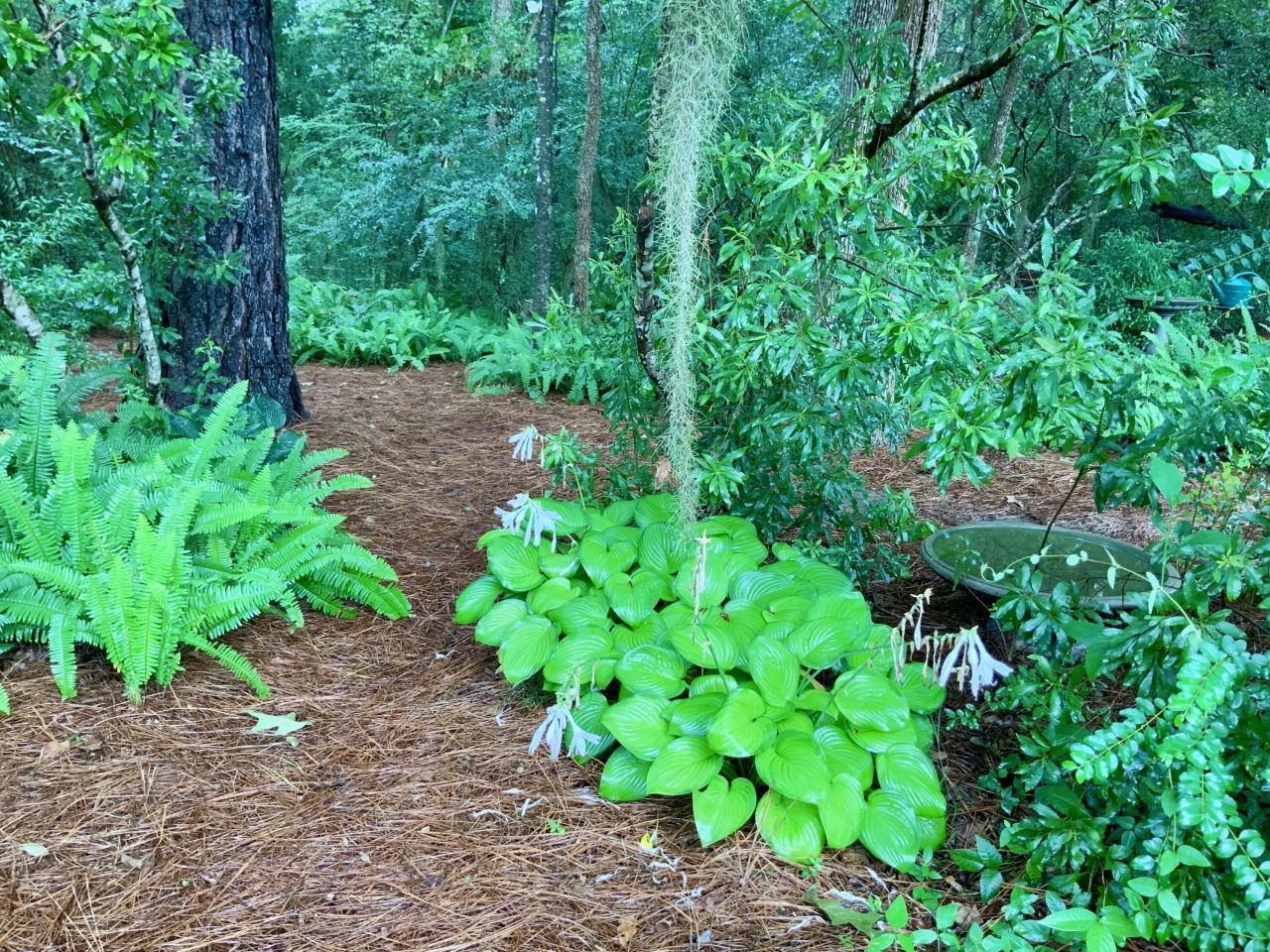 4278 Home Town Lane Photo 48