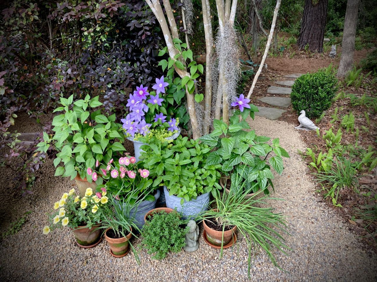 4278 Home Town Lane Photo 49