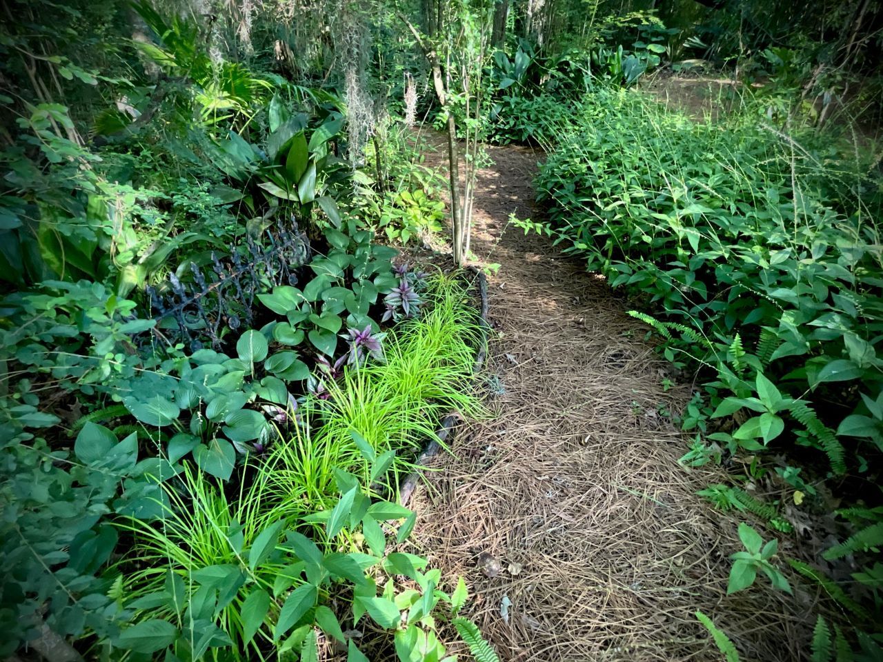 4278 Home Town Lane Photo 53