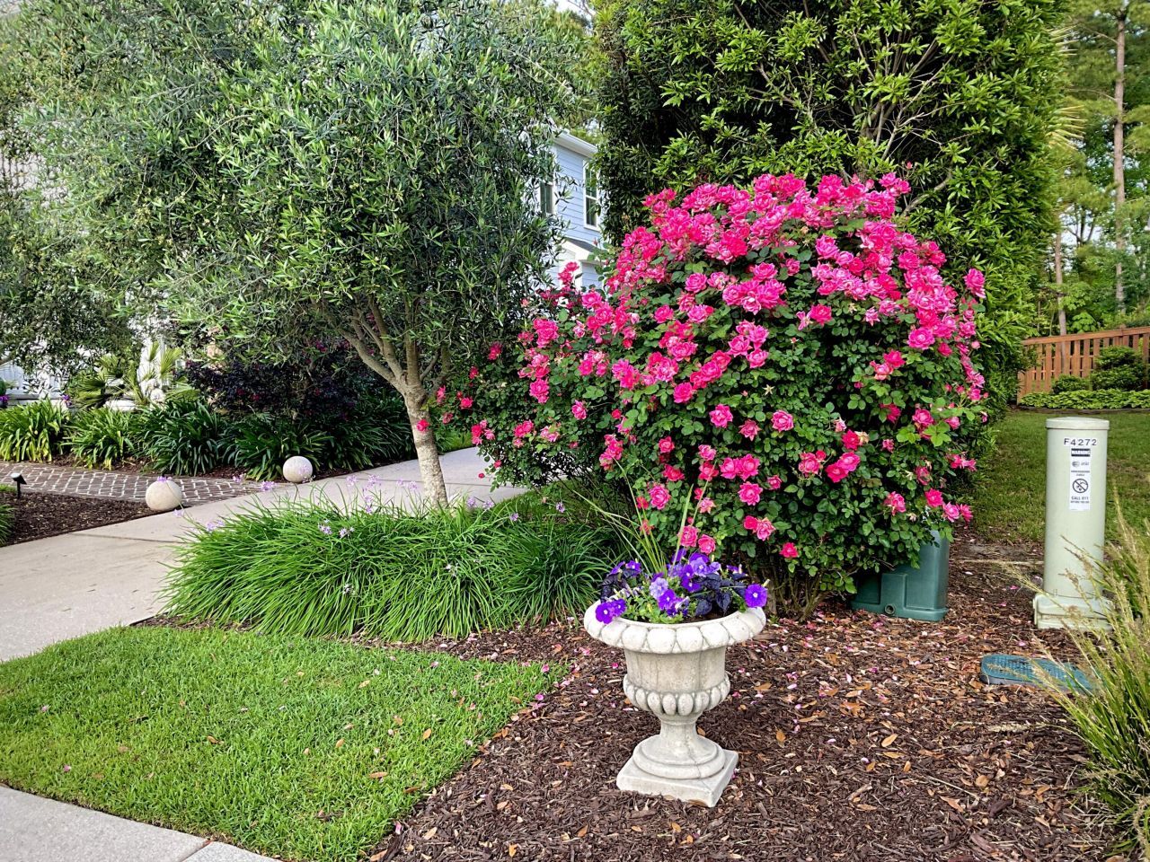 4278 Home Town Lane Photo 61