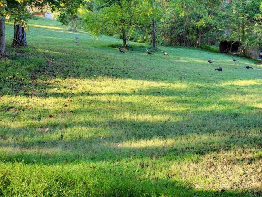 Property Image 24