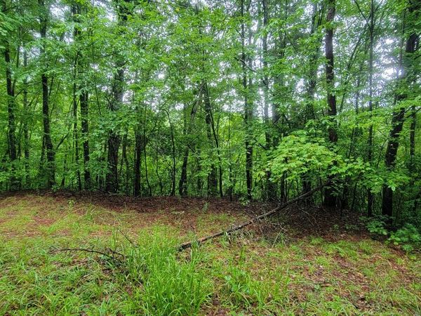 0 Bonanza Lane, Tiger, GA 30576