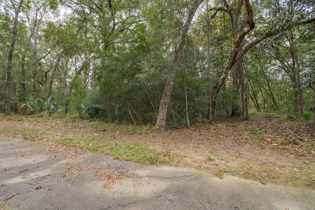 207 Bull Point Drive Photo 5