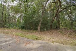 207 Bull Point Drive photo 4