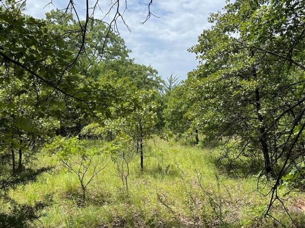 0000 SW Rattlesnake Hill Road, Tecumseh, OK 74873