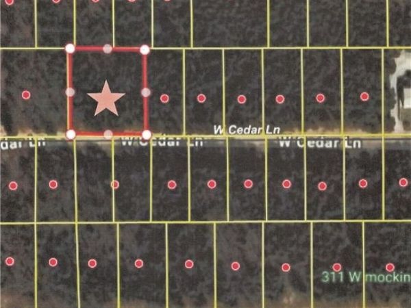 Cedar Lane , Diamond City, AR 72644