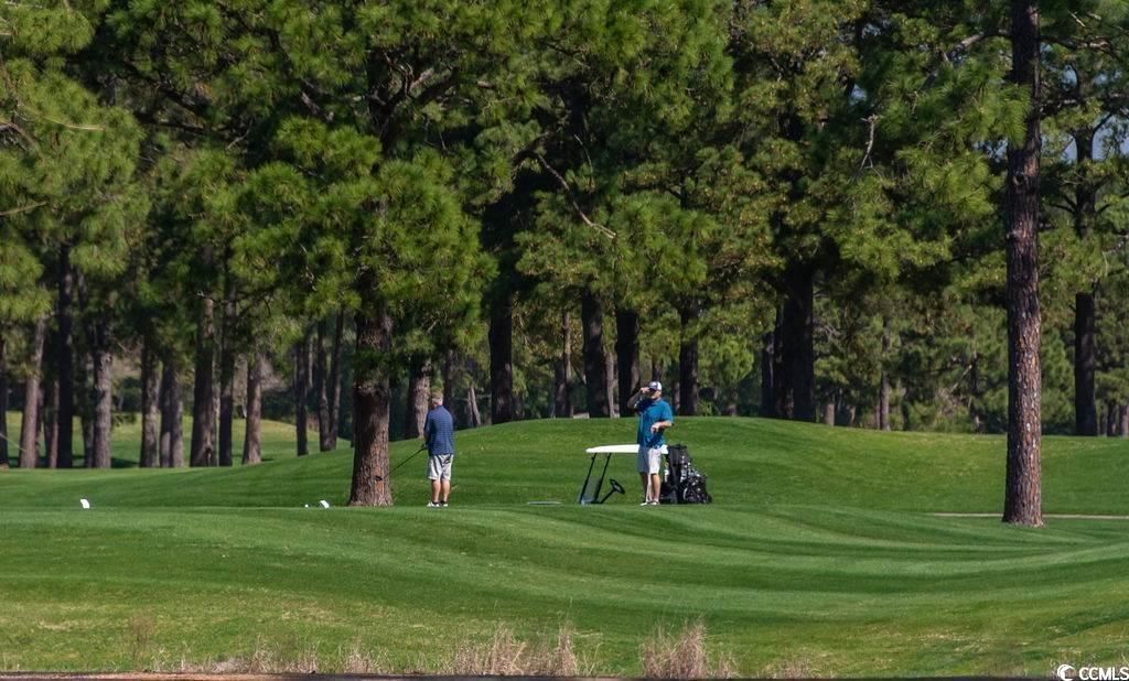 4635 Wild Iris Dr. Photo 32