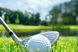 4635 Wild Iris Dr. photo 4