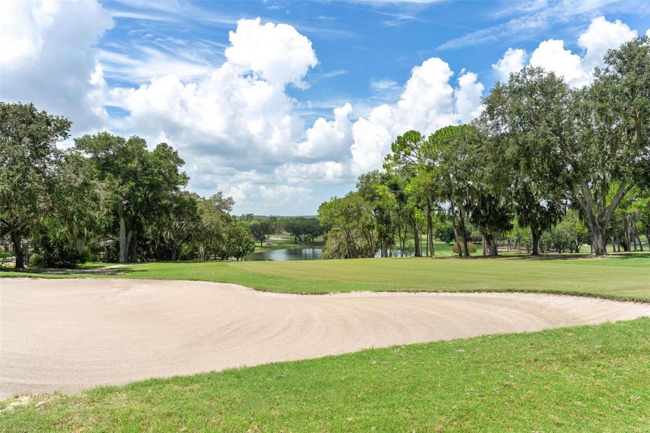 14 Camino Real Boulevard, Unit 14, Howey in the Hills, FL 34737 Photo