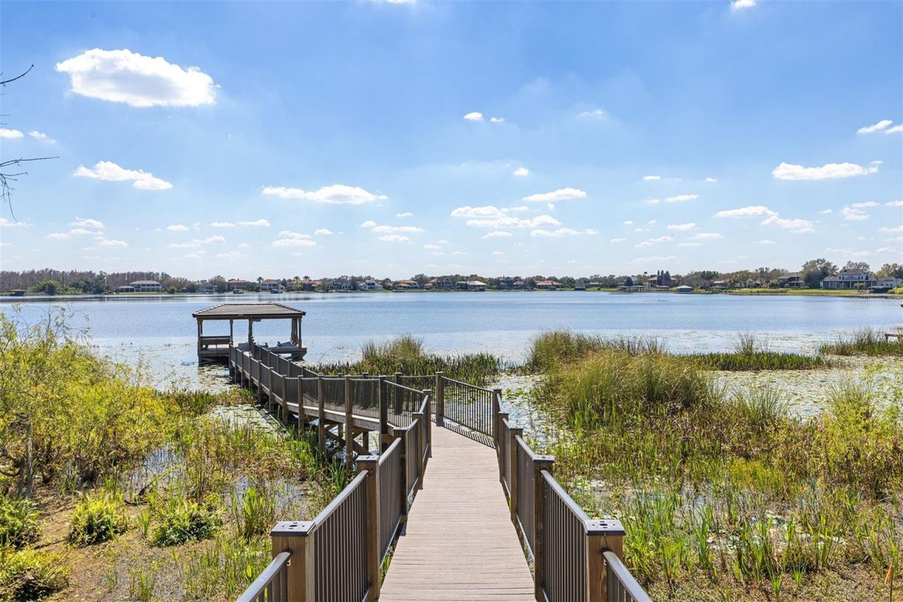 14544 Avenue Of The Rushes, Winter Garden, FL 34787 Photo