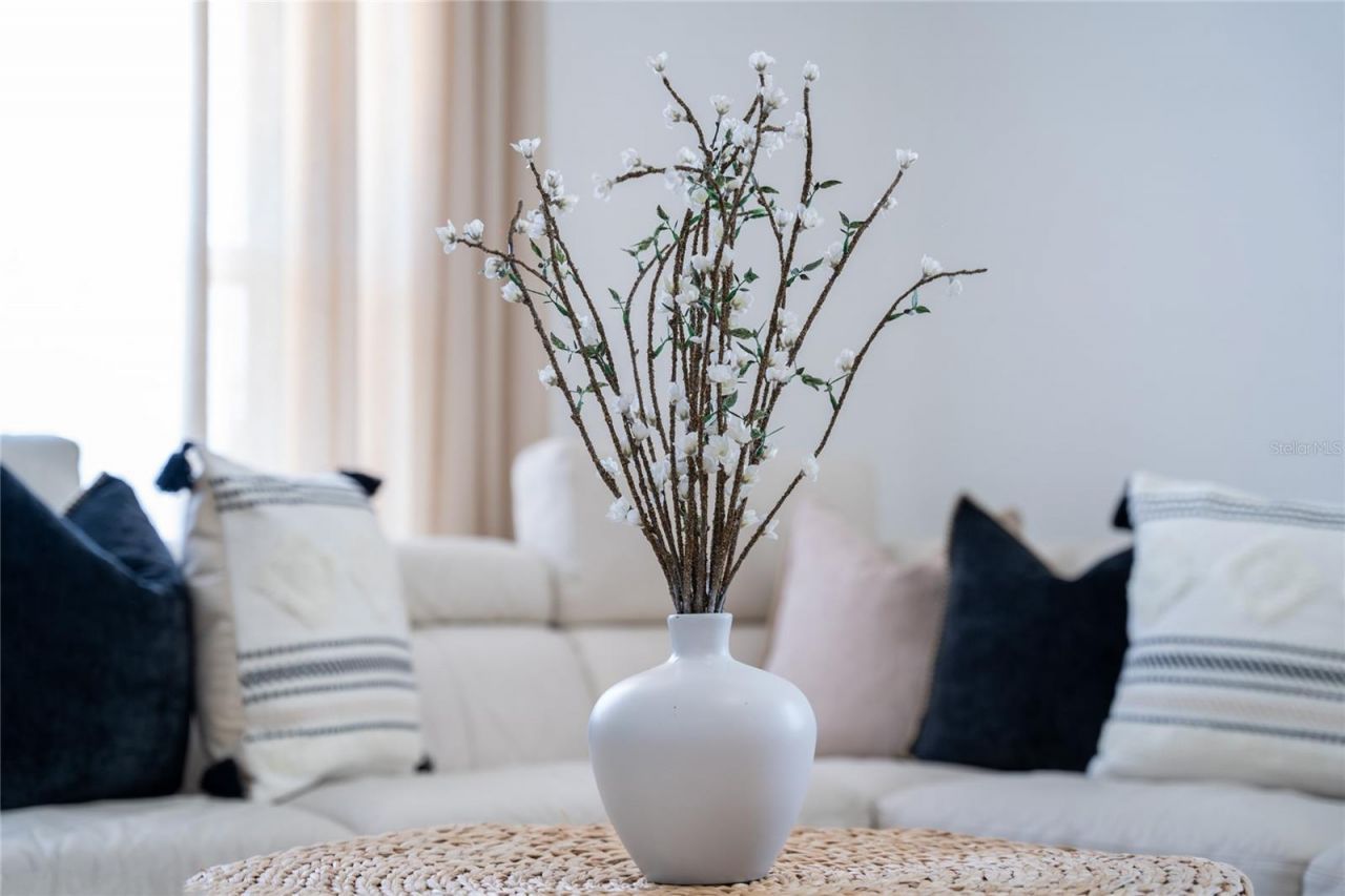 52 N York Road, Avon Park, FL 33825 Photo