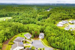 794 Carolina Aster Drive photo 4