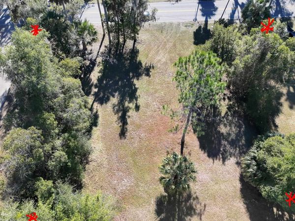 3000 Elm St, Welaka, FL 32193