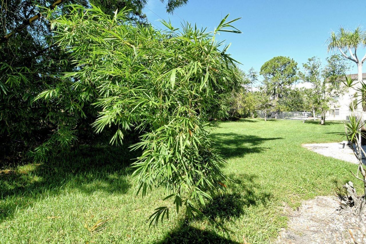 4130 Heron Way, Unit B-115, Bradenton, FL 34205 Photo